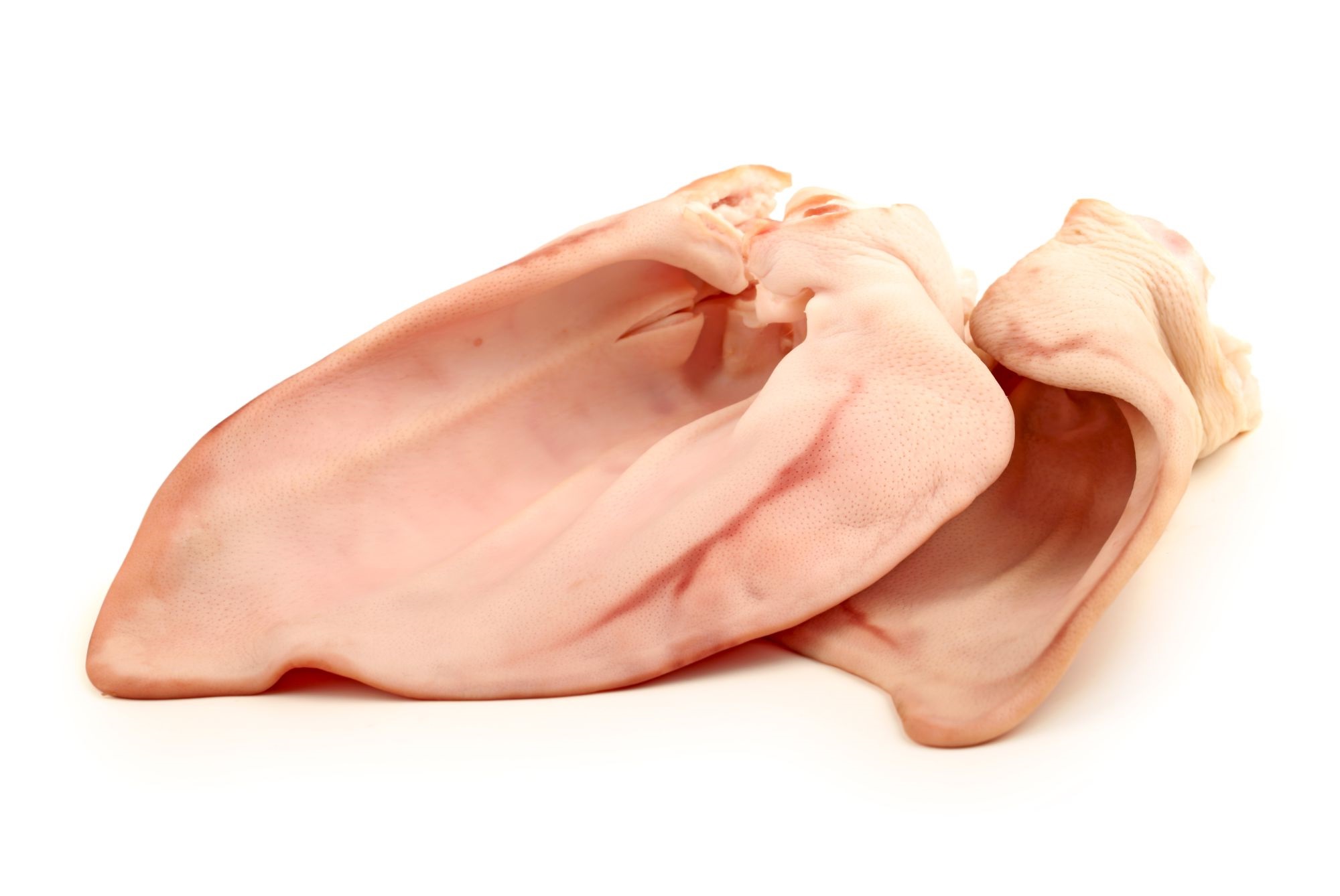 Urechi de porc